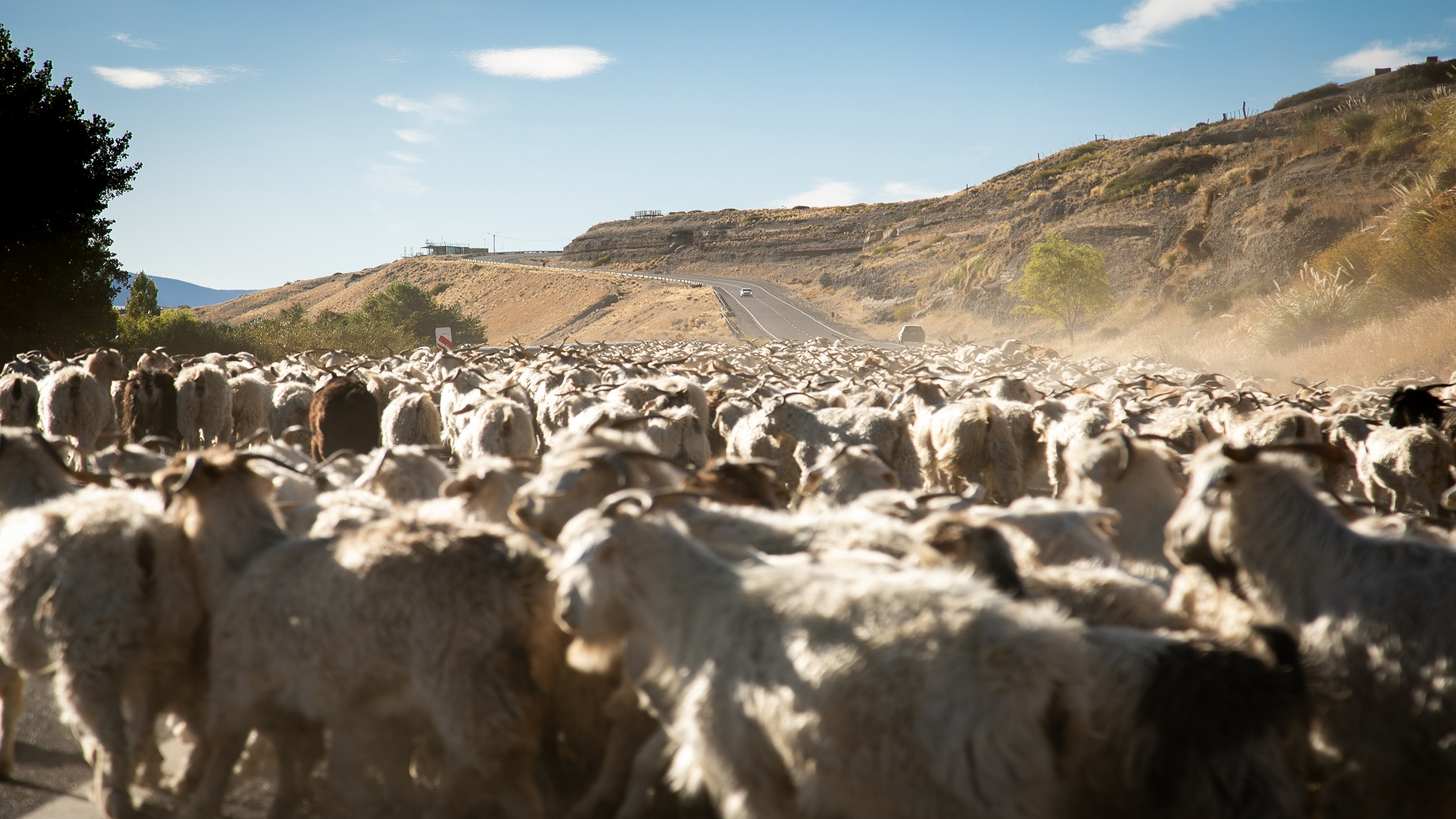 Caviahue - Copahue es uno de los candidatos a mejores pueblos del mundo. Foto Argentina.gob.ar