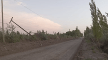 Imagen de Cortes de luz y caída de árboles por el viento en el Alto Valle: trabajan para recuperar el servicio