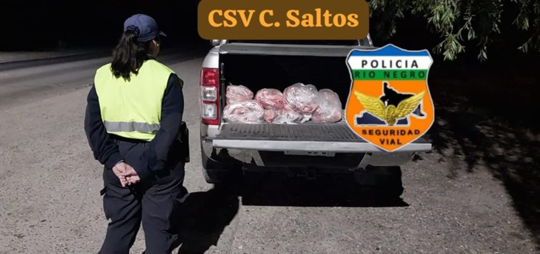 Secuestran 65 toneladas de carne vacuna en Cinco Saltos 