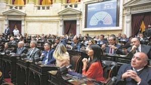 Veto al financiamiento universitaria: los votos a favor y en contra en Diputados