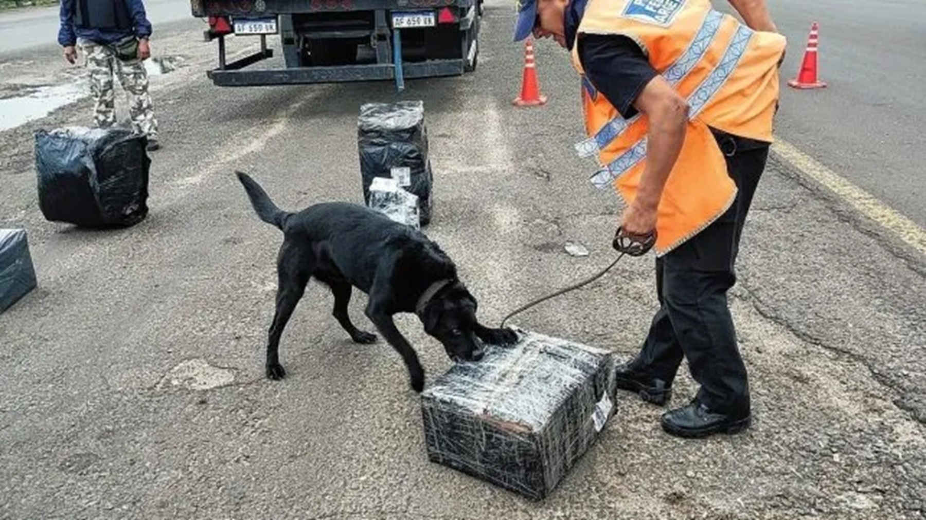 El operativo que se realizó en Concordia.