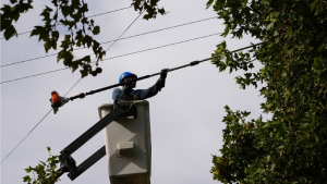 Corte de luz este viernes en Cipolletti: cuáles son las zonas afectadas