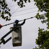 Imagen de Atención usuarios de Edersa: habrá cortes de luz en Roca y Catriel, este martes