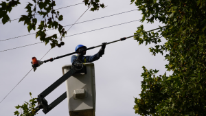 Cortes de luz en Roca, Cinco Saltos y Catriel, este jueves: cuál es el cronograma de Edersa