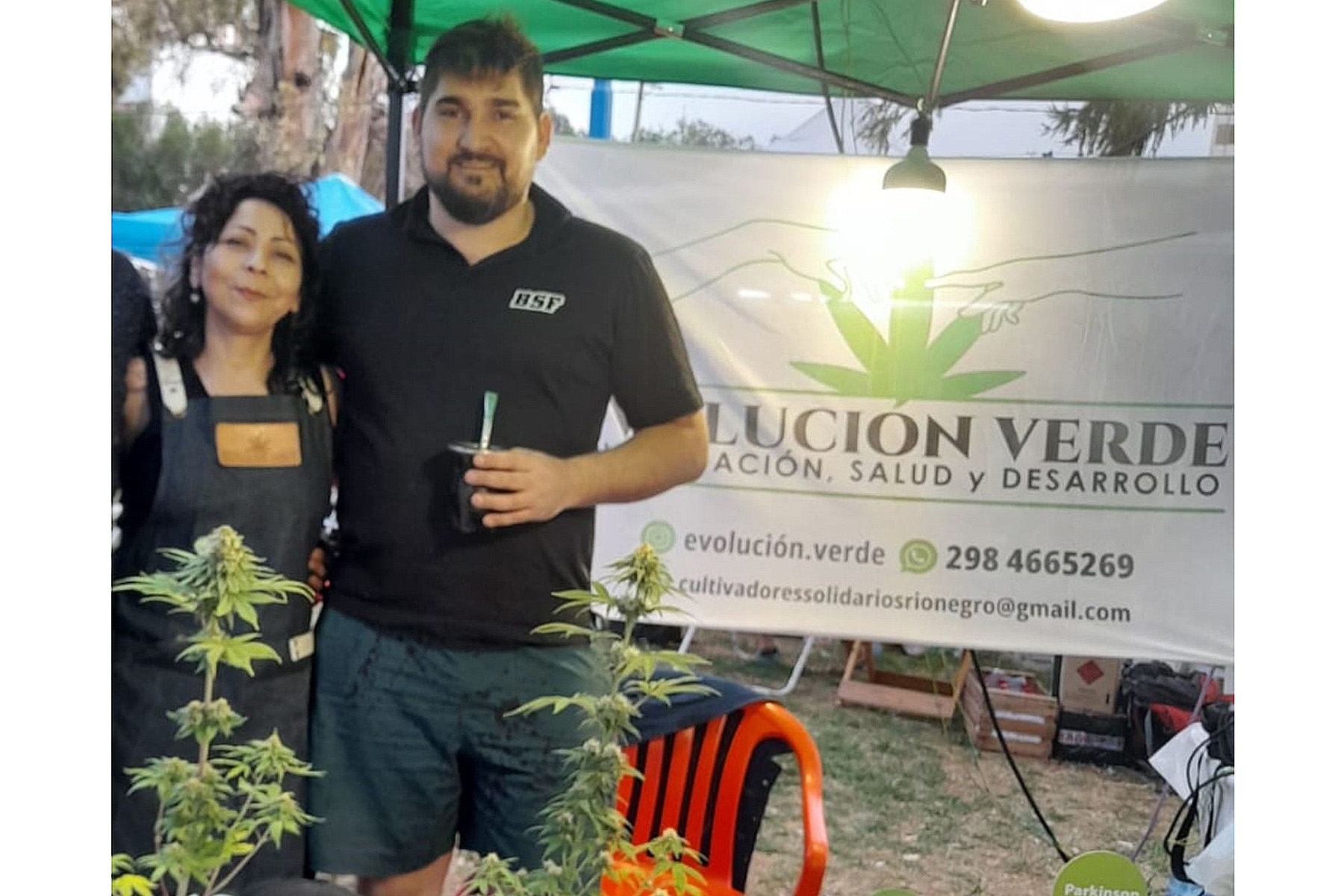 Evolución Verde vendió plantines de Cannabis Legal en Roca. Foto: Gentileza