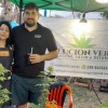 Imagen de Histórico: vendieron por primera vez plantines de cannabis legal en una feria en Roca