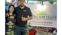 Imagen de Histórico: vendieron por primera vez plantines de cannabis legal en una feria en Roca