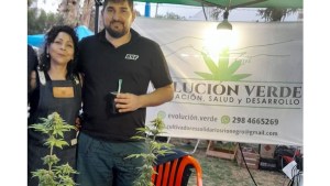 Histórico: vendieron por primera vez plantines de Cannabis Legal en una feria en Roca