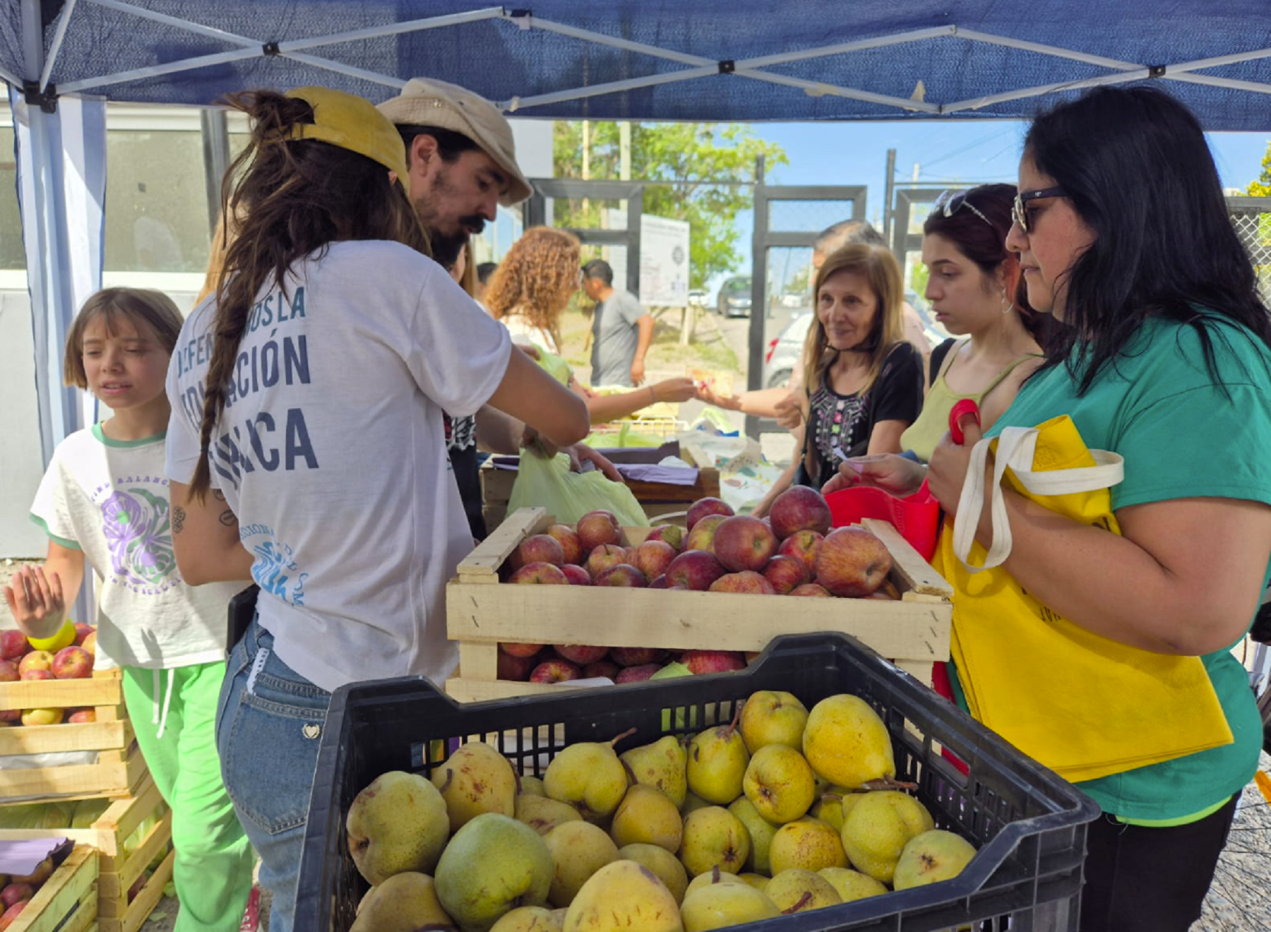 Frutazo en la Universidad del Comahue en Neuquén. Foto: gentileza 