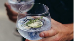 Viernes para disfrutar del gin: hoy empieza el festival gratis que no te podés perder en Neuquén