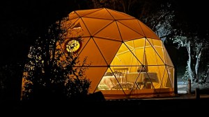 Si querés hacer glamping con tu perro en Neuquén y Río Negro hay dos lugares recomendados para vos