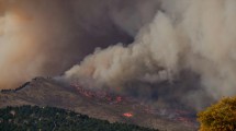 Imagen de El cambio climático, dramático: dispara el número de muertes por el humo que generan incendios