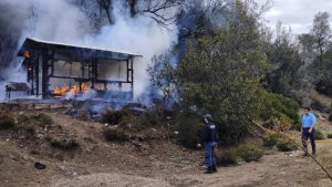 Indignante: un incendio intencional puso en riesgo un bosque nativo de Neuquén