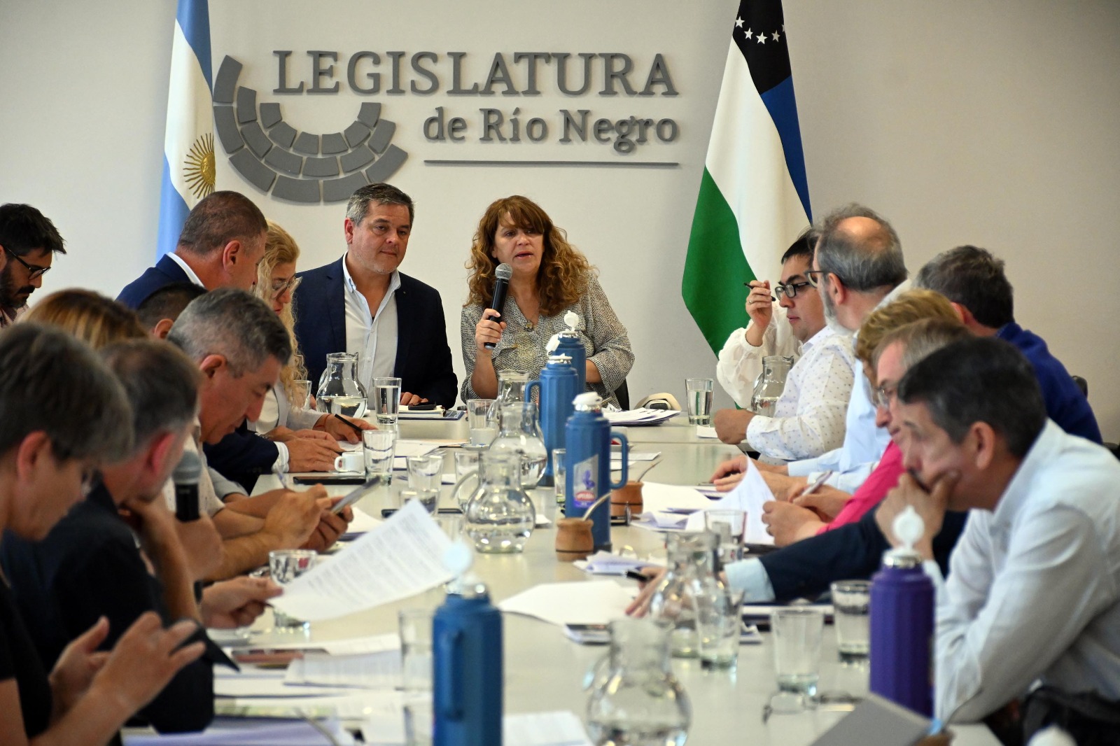 La Comisión de Educación abrió este lunes la semana legislativa, que concluirá con la sesión del juevez. Foto: Marcelo Ochoa 