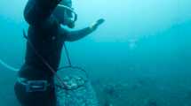 Imagen de Marisqueros en la Patagonia: un viaje al corazón de la pesca artesanal en Playa Larralde