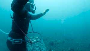 Marisqueros en la Patagonia: un viaje al corazón de la pesca artesanal en Playa Larralde