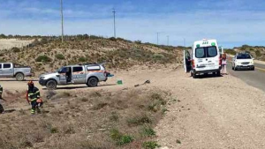 Murió un policía de Neuquén en la Ruta 237: trabajaba en un accidente y fue impactado por un auto