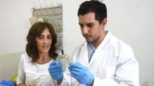 Descubren una enzima clave para la germinación de las semillas