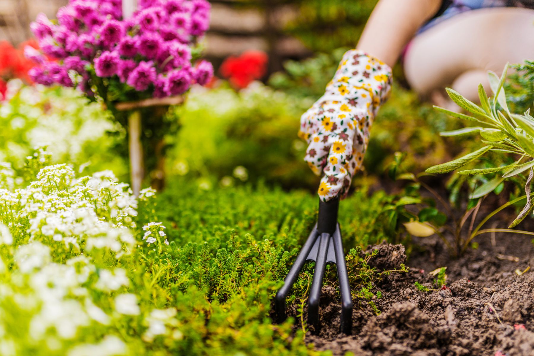 Durante este mes, las hortalizas de hoja verde y las raíces toman el protagonismo en las plantaciones. 