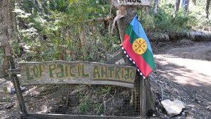 Juicio de Ginóbili a mapuches: cuál es la importancia de la audiencia de este lunes