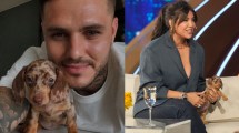 Imagen de ¿Qué raza es la perrita que le regaló Mauro Icardi a Wanda Nara? 