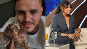 ¿Qué raza es la perrita que le regaló Mauro Icardi a Wanda Nara? 