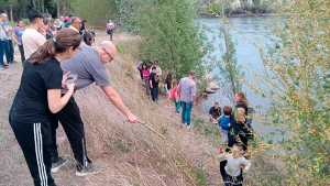 Liberaron peces recién nacidos en Regina: muchas manos para repoblar el río Negro