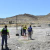 Imagen de Encerradas en un colectivo y al rayo del sol en la Ruta 40: así encontraron a tres perras en Chos Malal