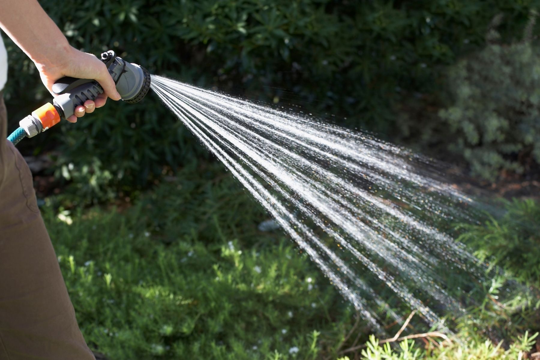 A partir de este mes, las plantas necesitan más agua. 