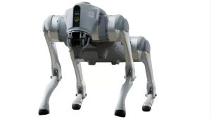 Impresionante: el «perro» robot  que recorre la AOG 2024 en Neuquén