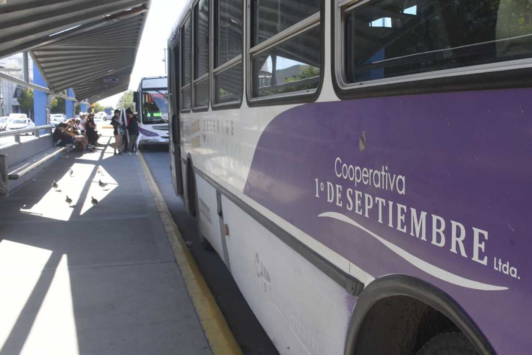 Cómo funcionarán los colectivos en Roca. Foto: archivo.