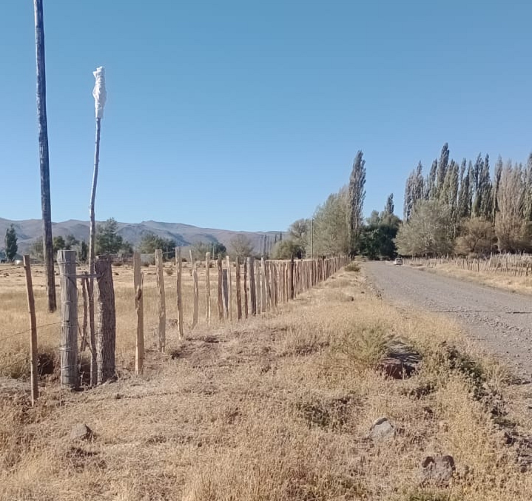 Campo en el que ocurrieron los hechos. Foto: Gentileza