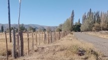 Imagen de Atacaron a piedrazos a su vecina en el norte de Neuquén: «No es la primera vez que pasa»