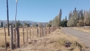 Atacaron a piedrazos a su vecina en el norte de Neuquén: «No es la primera vez que pasa»