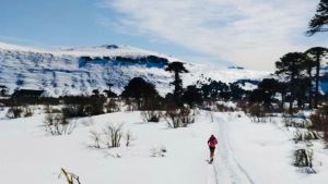 Con más de 500 atletas, Caviahue recibe al Trail del Agrio