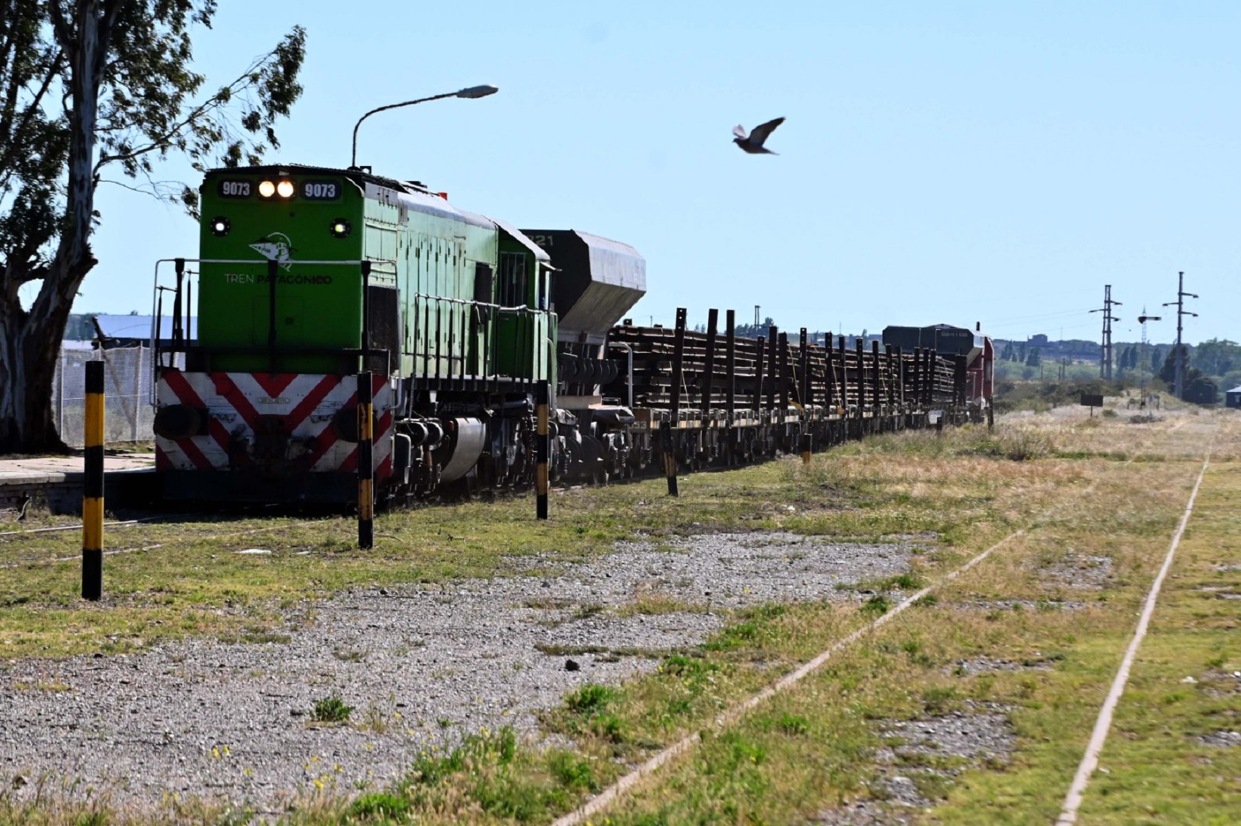 La empresa rionegrina realizó el transporte desde Bahía Blanca. Fotos: Marcelo Ochoa.