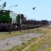 Imagen de Llegaron a Viedma los primeros rieles que se usarán para la reparación prevista por Tren Patagónico