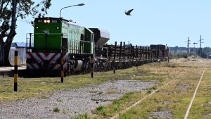 Llegaron a Viedma los primeros rieles que se usarán para la reparación prevista por Tren Patagónico