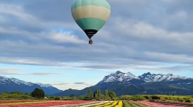 Imagen de Comenzó la temporada tulipanes en Chubut: el viaje en globo se consolida como una experiencia única