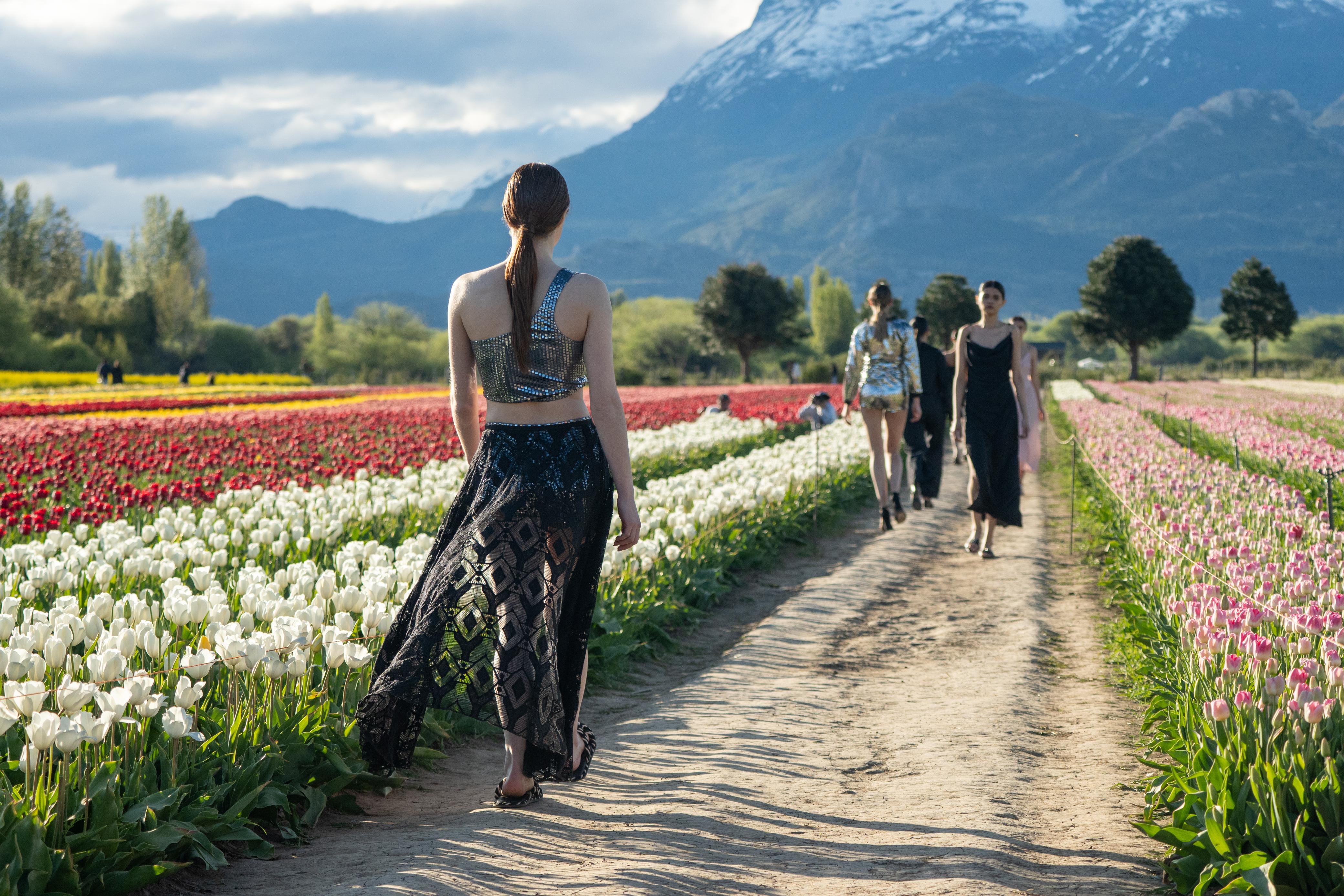 El campo de tulipanes de Trevelin fue escenario de un desfile deslumbrante 