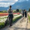 Imagen de Naturaleza y moda al pie de las montañas: el campo de tulipanes de Trevelin fue escenario de un desfile imponente