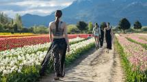 Imagen de Naturaleza y moda al pie de las montañas: el campo de tulipanes de Trevelin fue escenario de un desfile imponente