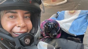 Viaja con su perra en moto hasta Alaska: tras un accidente, necesita ir a Mendoza pero no puede ir en avión con ella