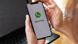 Neuquén: este es el número de WhatsApp que te permite hacer reclamos a Educación