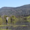 Imagen de Aluminé, el paraíso de la pesca abrió la temporada con estas maravillas: cuánto sale ir