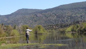 Aluminé, el paraíso de la pesca abrió la temporada con estas maravillas: cuánto sale ir