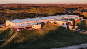 En un finde largo, el mejor plan es pasear por las bodegas de Río Negro y Neuquén