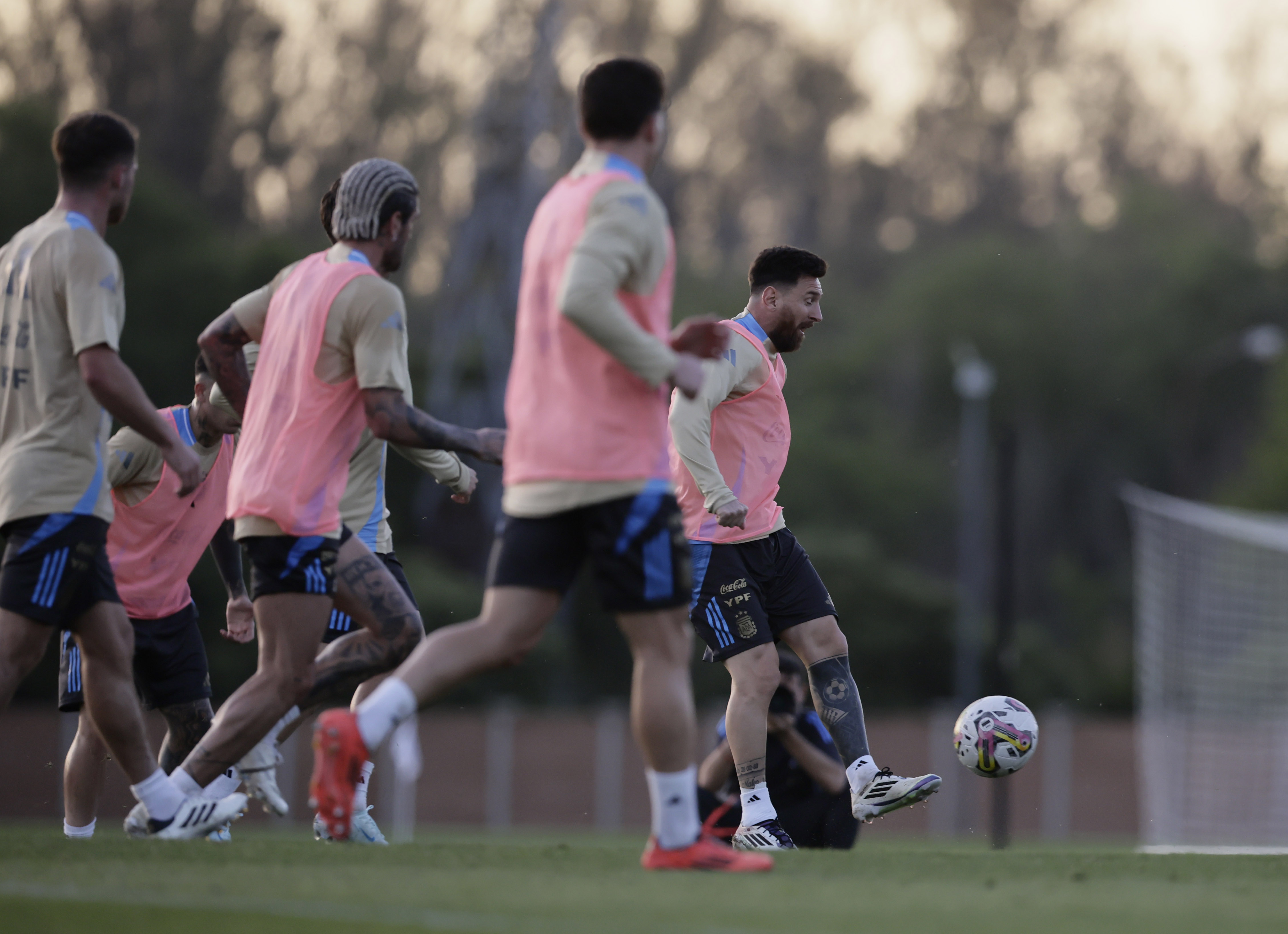 entrenamiento de la seleccion argentina de futbol/fotobaires/12/11/2024