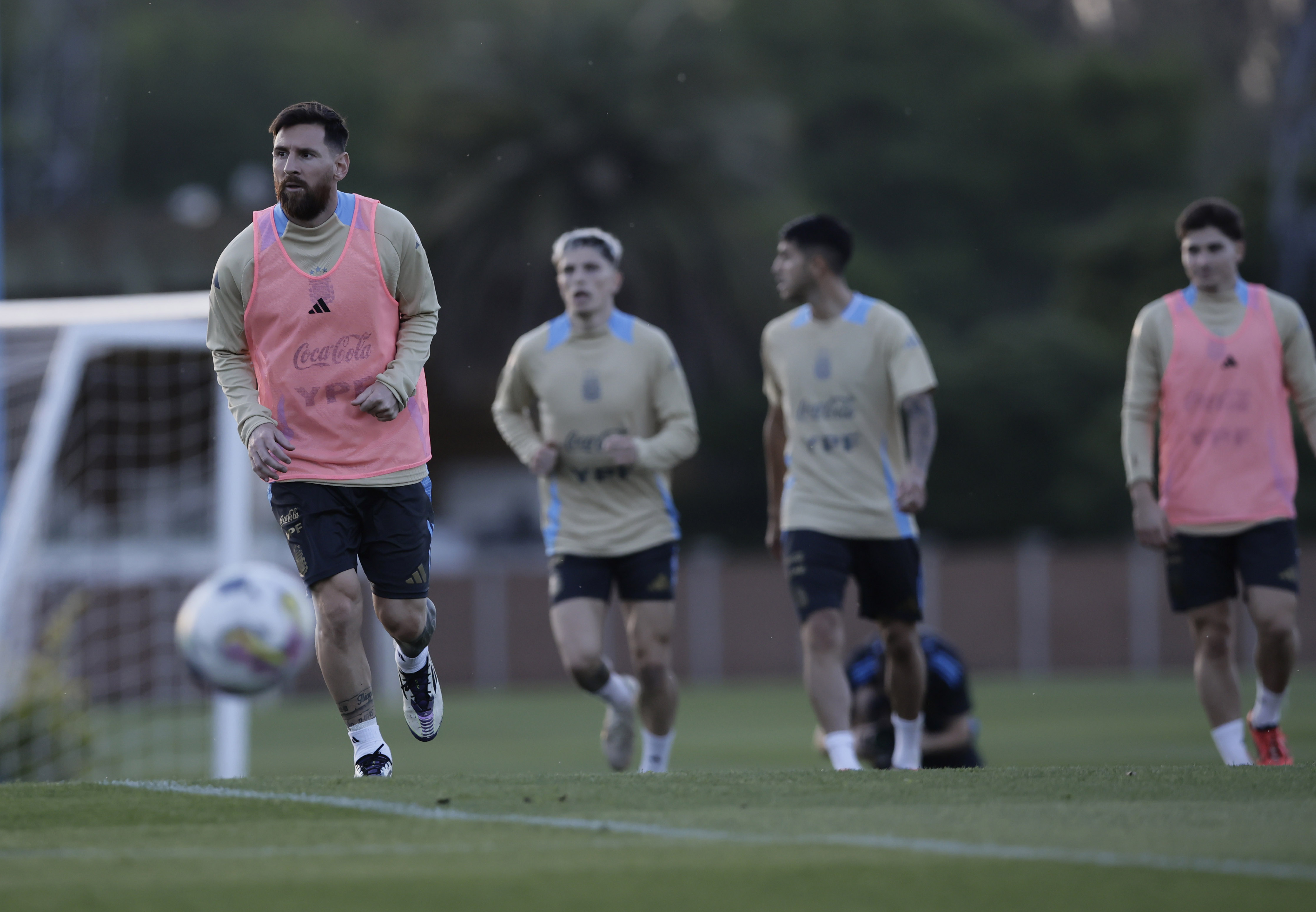 entrenamiento de la seleccion argentina de futbol/fotobaires/12/11/2024