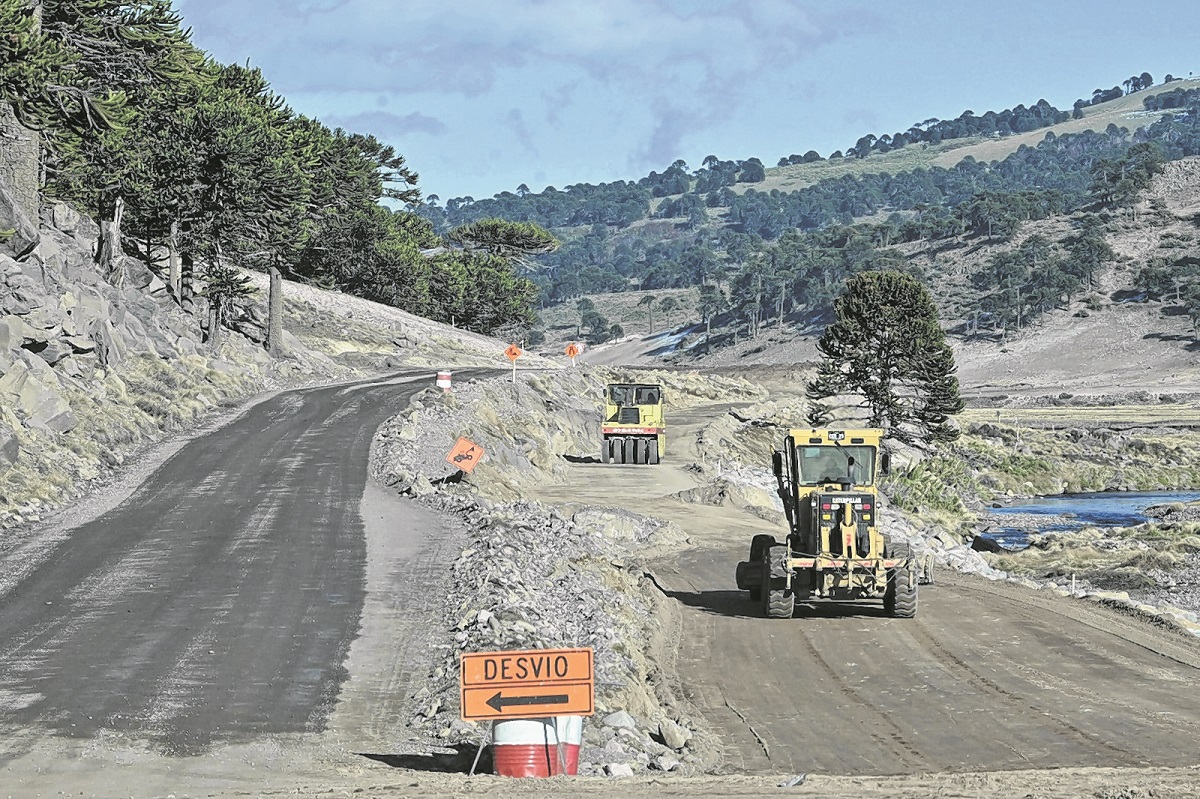 La nueva joya de Neuquén será la Ruta Provincial 23 rodeada de bosques de pehuenes (Alejandro Carnevale)